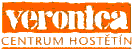 hostetin logo