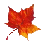 podzim list 2